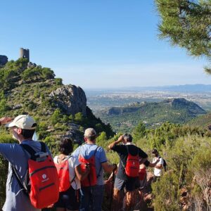 B&B. Benicàssim y Biodiversidad, ¡inseparables! Domingo, 23 de noviembre de 2025 a las 10h.