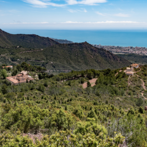 69a560d3278b7.png 69a560d3278b7.png