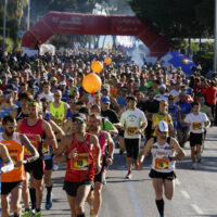MEDIA MARATON 003
