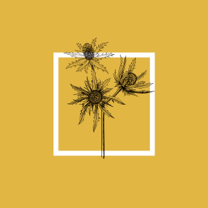 6a4cd47a3e57e.png 6a4cd47a3e57e.png