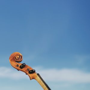 6a6341fd194a0.jpg